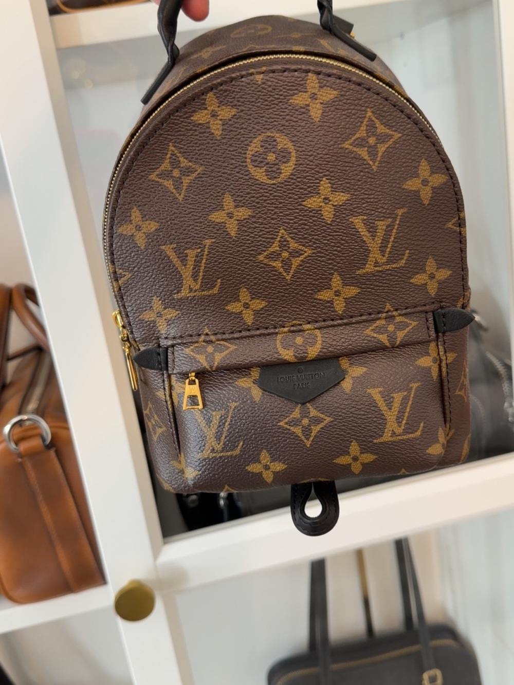 Louis Vuitton Monogram Canvas Palm Springs Mini Backpack